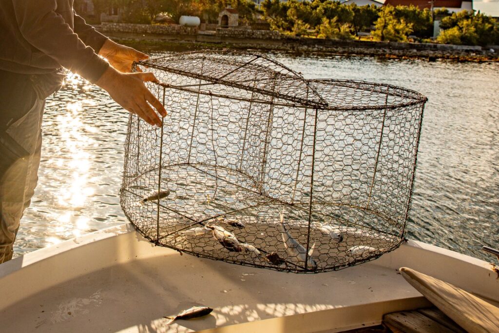 Croatia Tour Morning Fishing in Starigrad Paklenica
